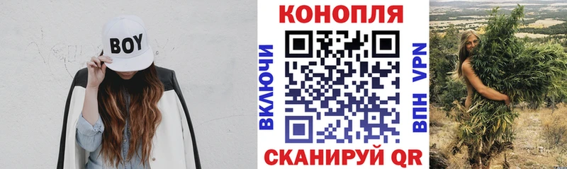 где продают   Чудово  Бошки Шишки Bruce Banner 
